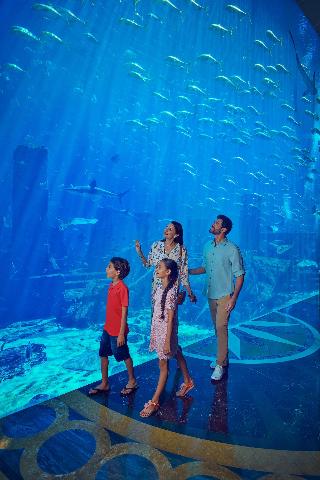Atlantis The Palm fotoÄŸrafÄ±