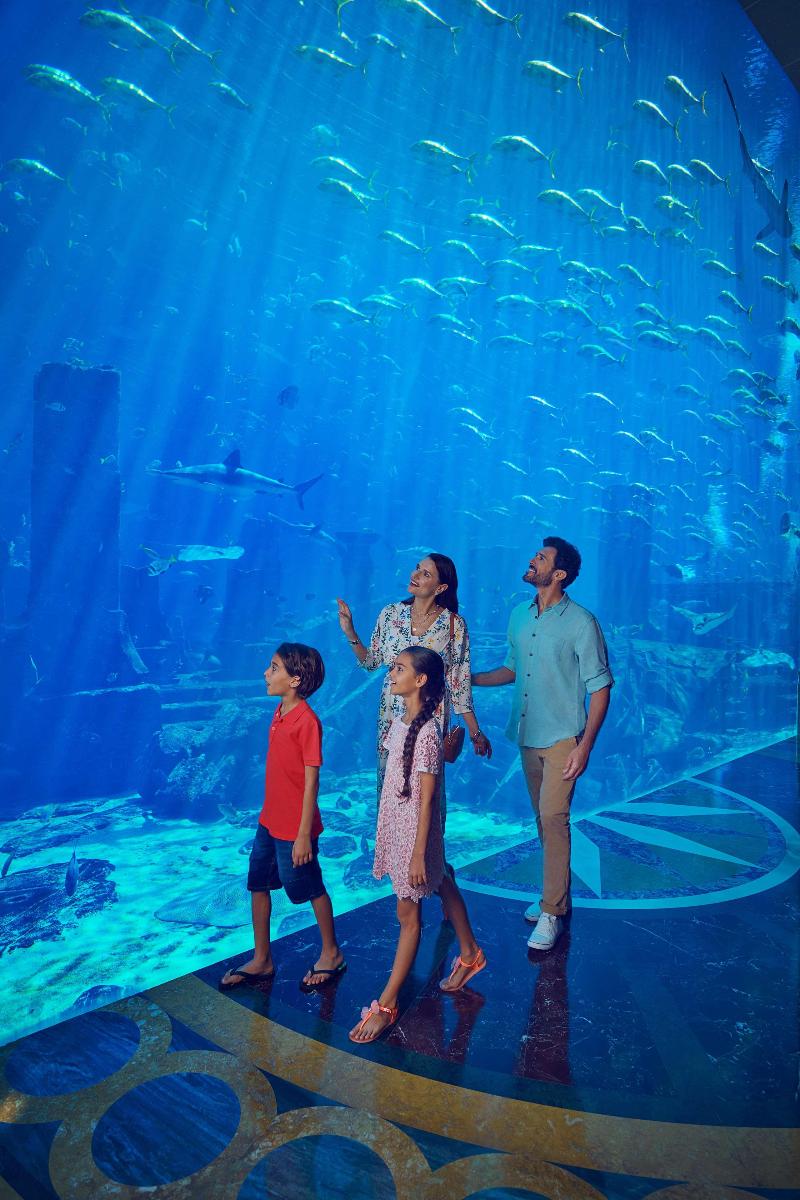 Atlantis The Palm - Aktivite