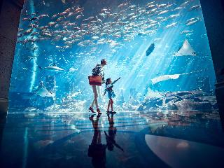 Atlantis The Palm fotoÄŸrafÄ±