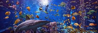 Atlantis The Palm fotoÄŸrafÄ±