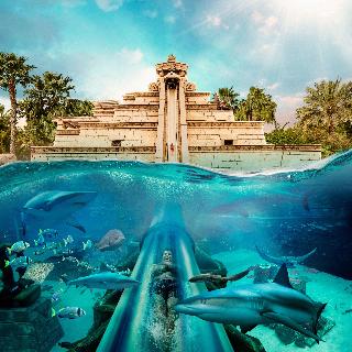 Atlantis The Palm fotoÄŸrafÄ±