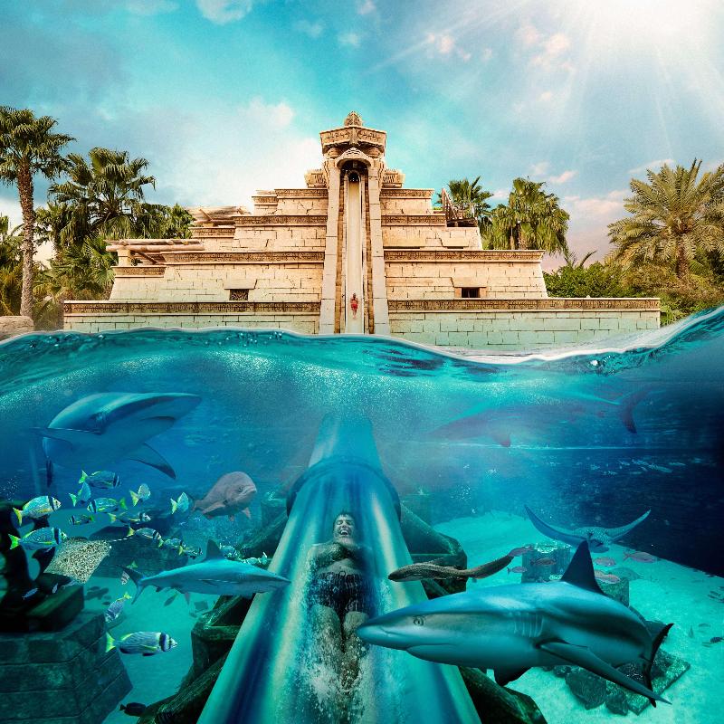 Atlantis The Palm - Aktivite