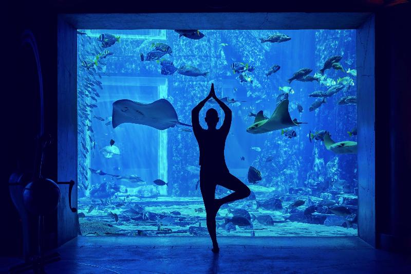 Atlantis The Palm - Aktivite