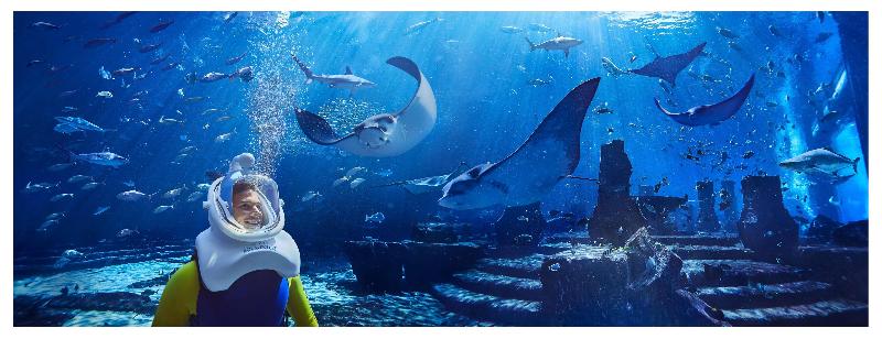 Atlantis The Palm - Aktivite