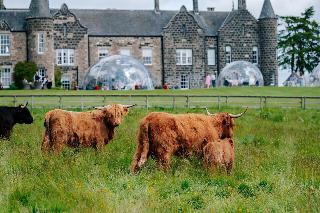 Meldrum House fotoÄŸrafÄ±