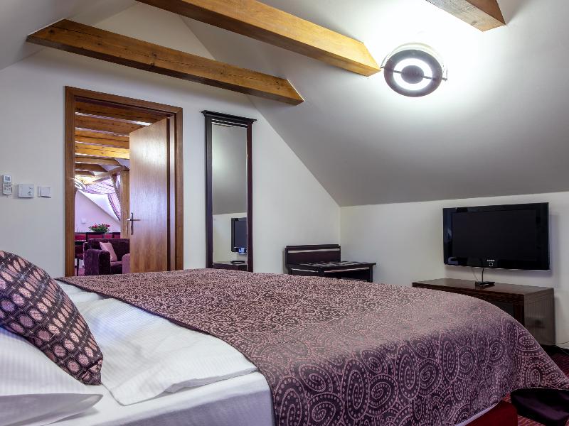 EA Hotel Embassy Prague - Oda