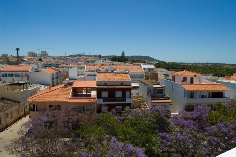 Loule Jardim - Genel