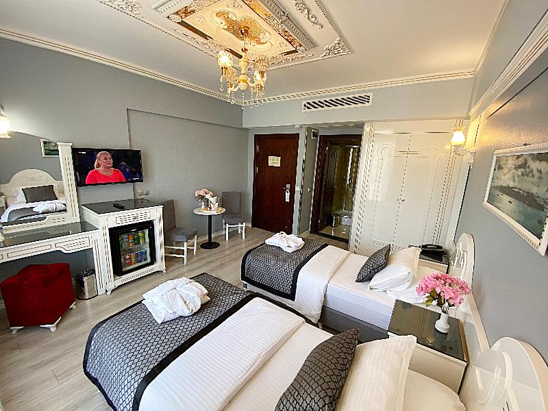 Gulhanepark Hotel & Spa Istanbul - Oda