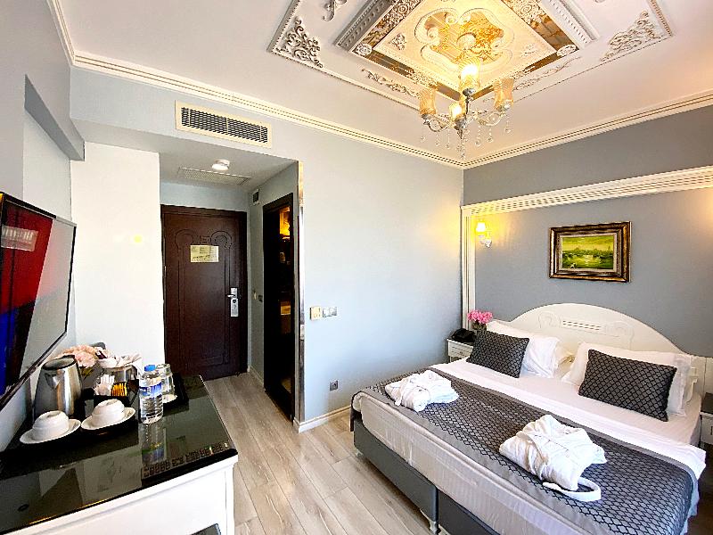 Gulhanepark Hotel & Spa Istanbul - Oda