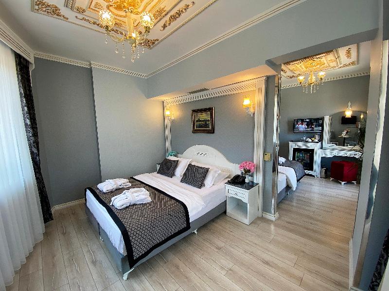 Gulhanepark Hotel & Spa Istanbul - Oda