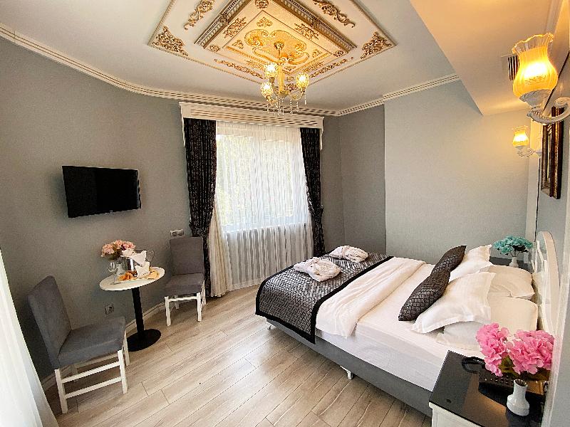 Gulhanepark Hotel & Spa Istanbul - Oda