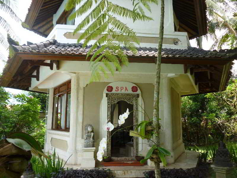 Panorama Hotel Ubud fotoÄŸrafÄ±