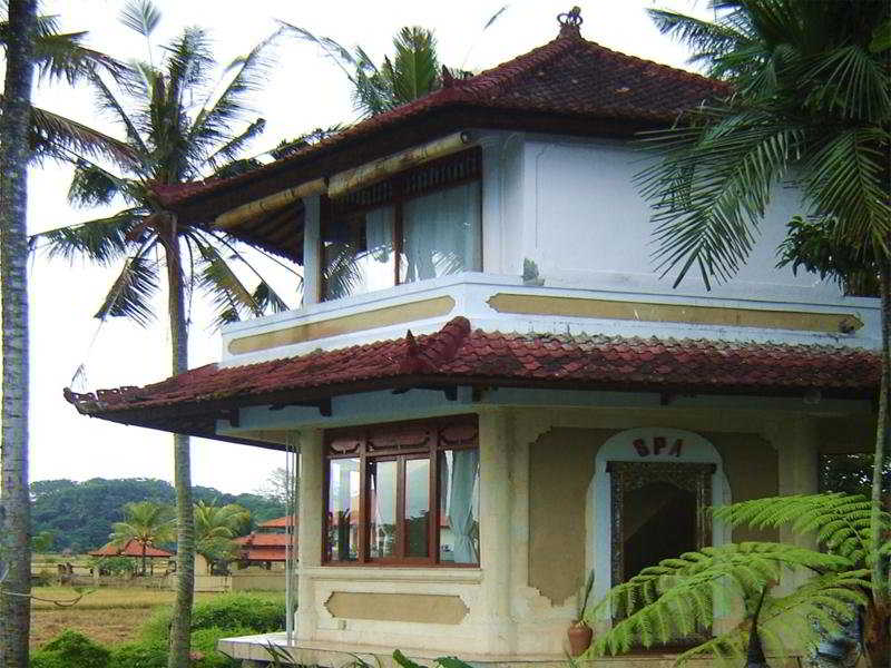 Panorama Hotel Ubud otel fotoğrafı
