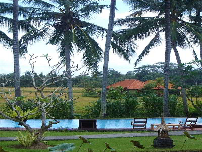 Panorama Hotel Ubud fotoÄŸrafÄ±