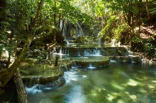 Amanwana fotoÄŸrafÄ±