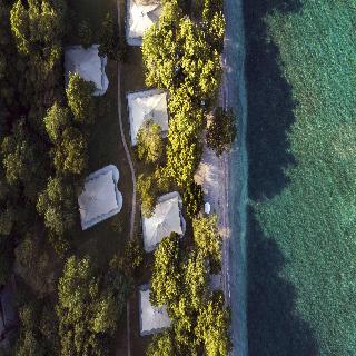 Amanwana fotoÄŸrafÄ±