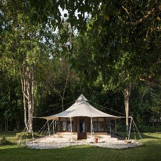 Amanwana fotoÄŸrafÄ±