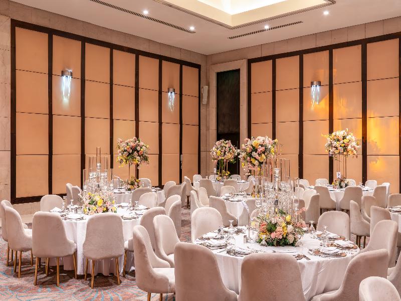 Hilton Cairo Heliopolis - Toplantı