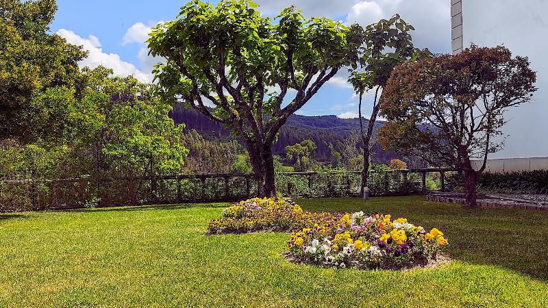 Grande Hotel das Caldas da Felgueira - Genel
