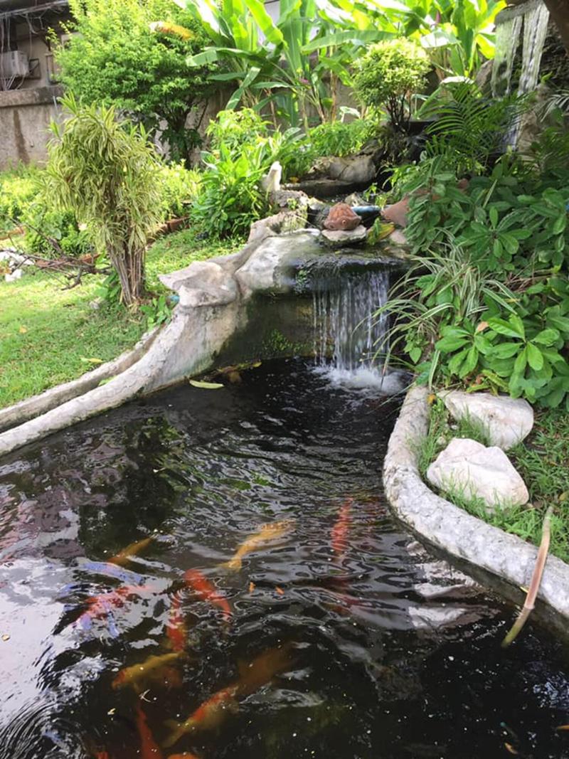 Bangkok Rama Hotel - Genel