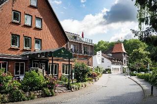 Ringhotel Birke fotoÄŸrafÄ±
