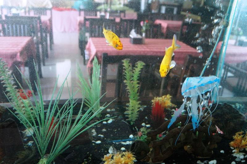 Noble Place - Lobi
