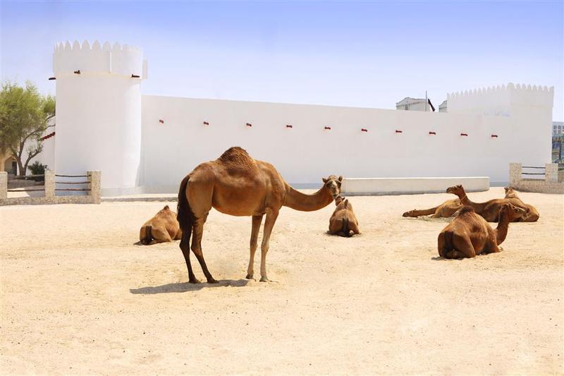 Sheraton Grand Doha Resort & Convention Hotel - Genel