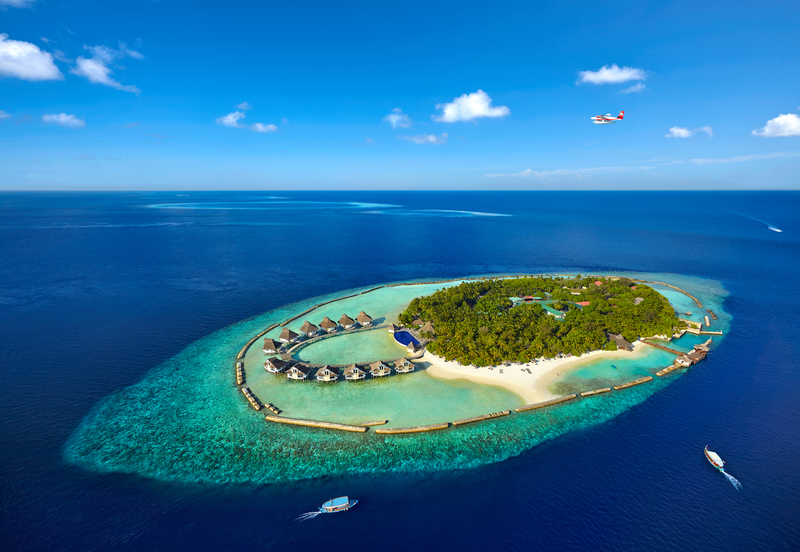 Ellaidhoo Maldives by Cinnamon - Genel