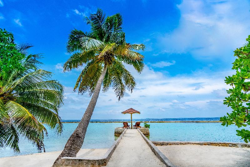 Ellaidhoo Maldives by Cinnamon - Genel