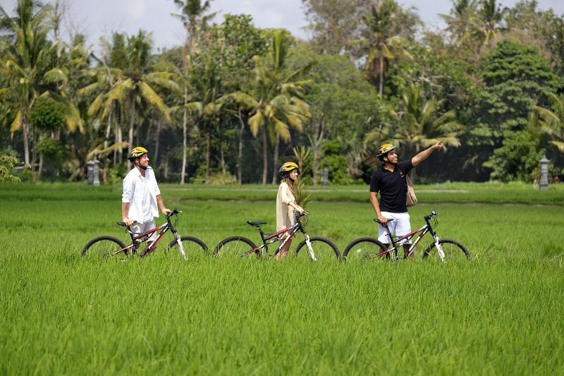 Kayumanis Ubud - Aktivite