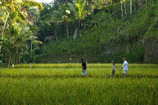 Kayumanis Ubud fotoÄŸrafÄ±
