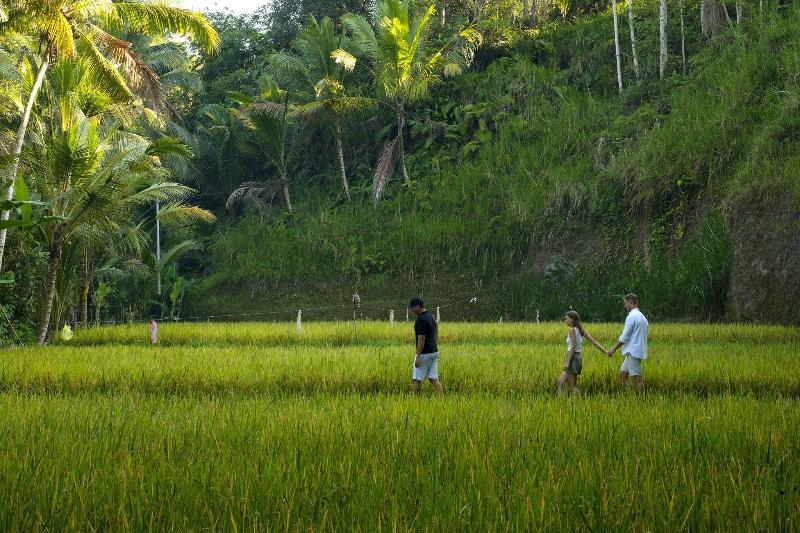 Kayumanis Ubud - Aktivite