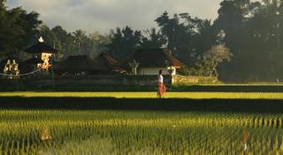 Kayumanis Ubud fotoÄŸrafÄ±