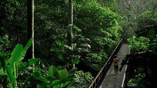 Kayumanis Ubud fotoÄŸrafÄ±