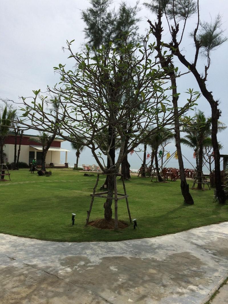 Golden Bay Cottages - Lobi