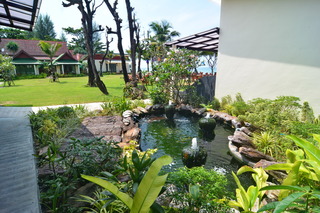 Golden Bay Cottages fotoÄŸrafÄ±