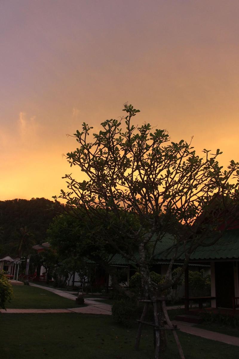 Golden Bay Cottages - Genel