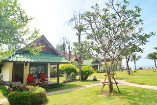 Golden Bay Cottages fotoÄŸrafÄ±