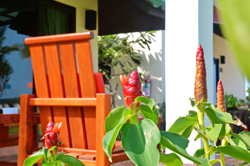 Golden Bay Cottages - Teras