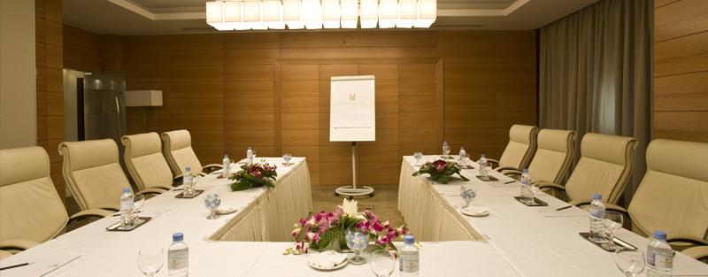 Millennium Hotel Doha - Toplantı