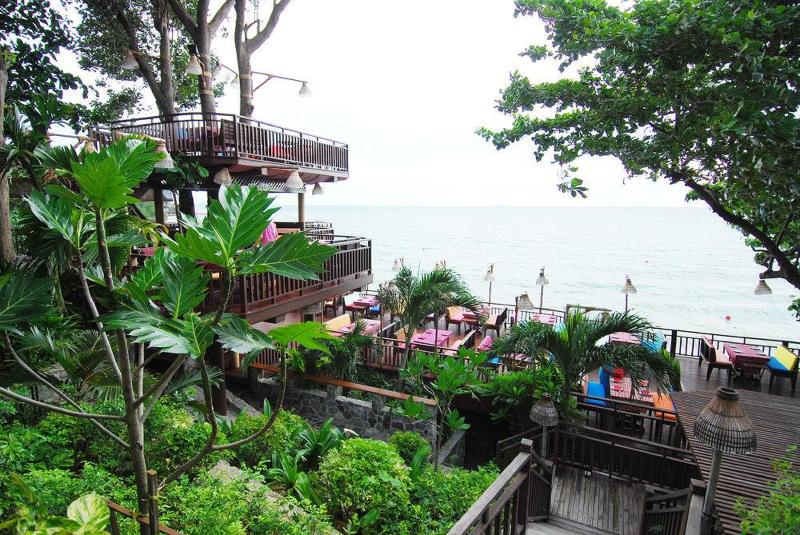 Birds and Bees Resort - Genel