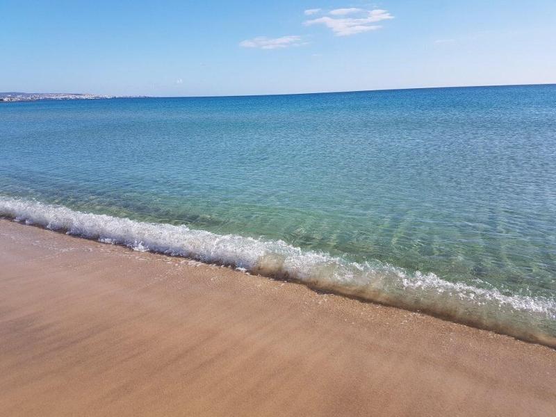 Mehari Hammamet - Plaj