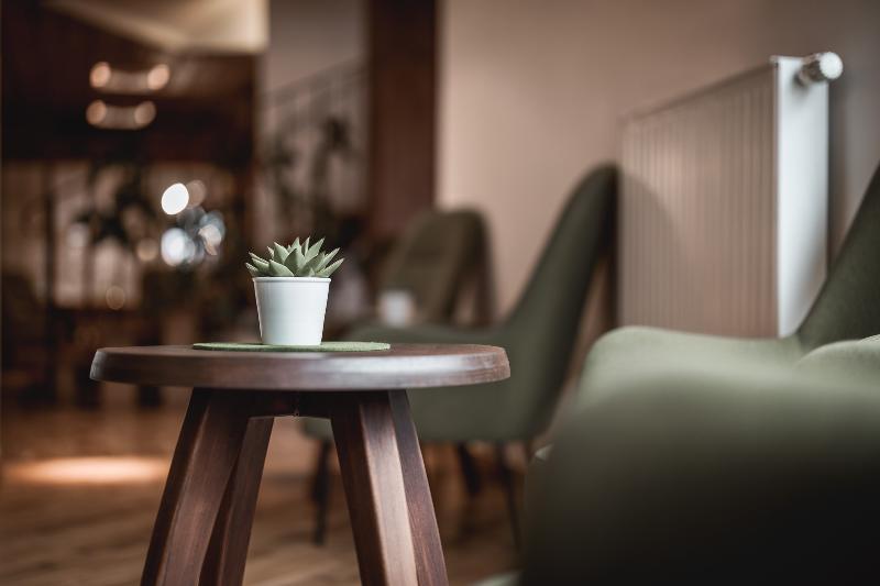 Seefelds Bed & Breakfast - Lobi