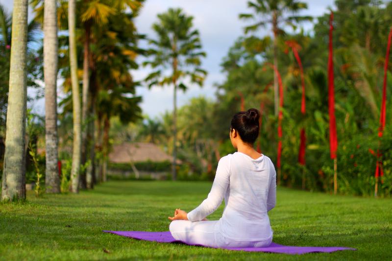 FuramaXclusive Resort & Villas, Ubud - Aktivite