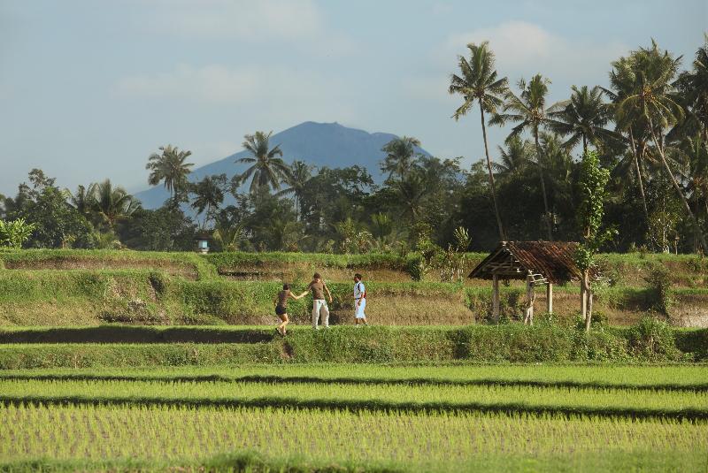 FuramaXclusive Resort & Villas, Ubud - Aktivite