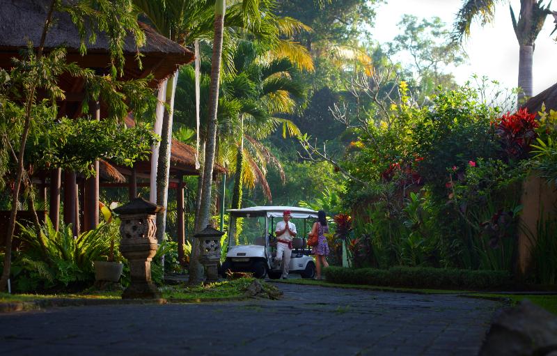 FuramaXclusive Resort & Villas, Ubud - Genel