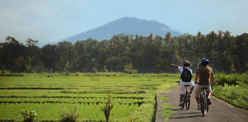 FuramaXclusive Resort & Villas, Ubud - Genel