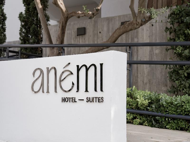 Anemi Hotel & Suites - Genel