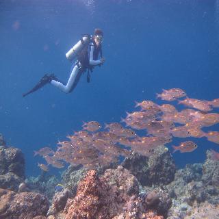 Adaaran Select Hudhuranfushi Resort fotoÄŸrafÄ±