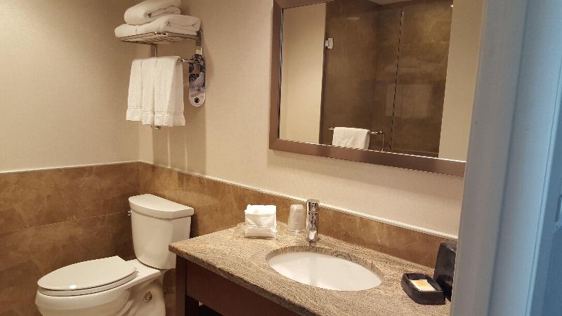 Holiday Inn L.I. City Manhattan View ( Closed) - Oda